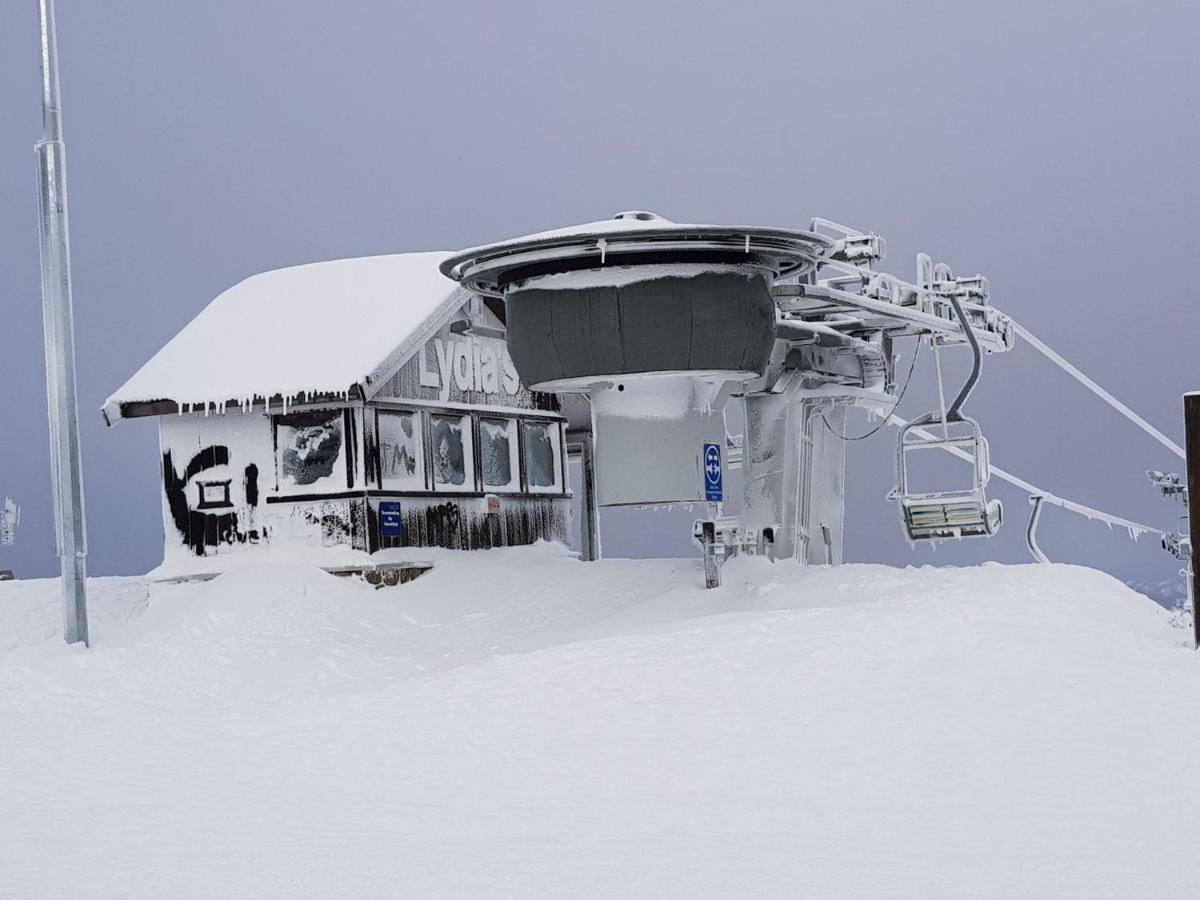 Appartement Peak 105 à Mount Buller Extérieur photo